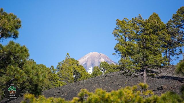 Lee más sobre el artículo Ruta por el Volcán Chinyero (Tenerife)