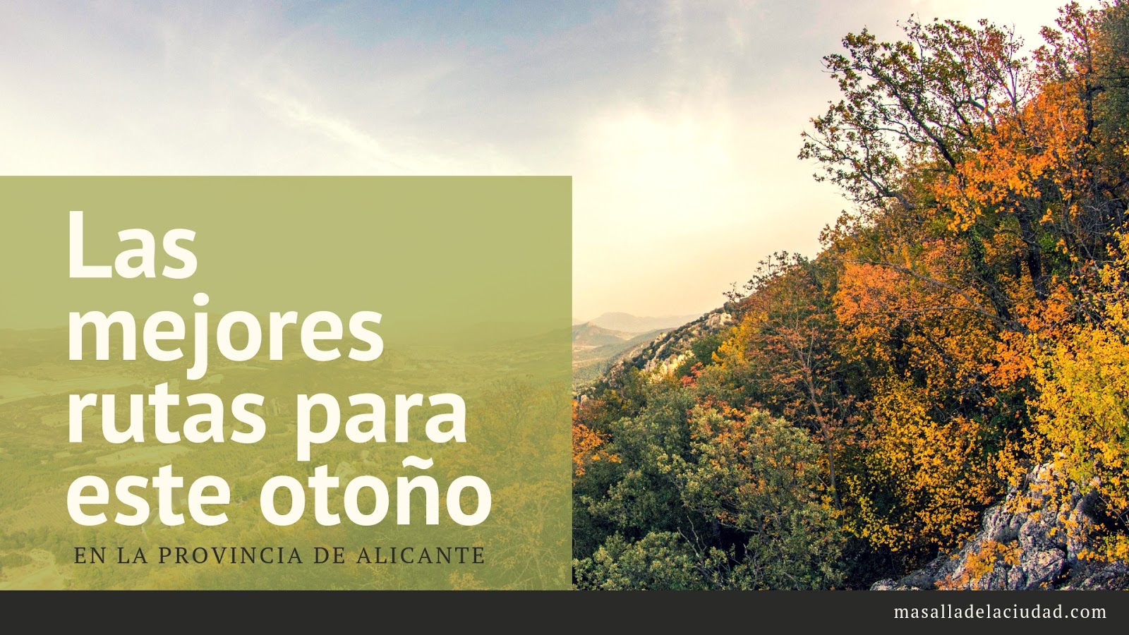 Lee más sobre el artículo Las 7 mejores rutas para este otoño 2024 (Alicante)